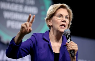 Senadora Elizabeth Warren. Cru00e9dito: Gage Skidmore (CC BY-SA 2.0) 