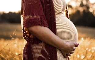 Foto referencial. Cru00e9dito: Devone Divine / Unsplash 