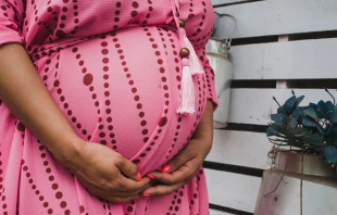 Foto referencial. Cru00e9dito: Mateus Campos Felipe en Unsplash 