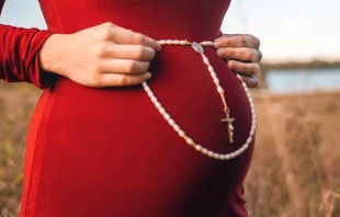 Imagen referencial. Cru00e9dito: Nina Hill / Unsplash. 