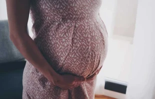 Imagen referencial. Cru00e9dito: u00d6mu00fcrden Cengiz / Unsplash. 