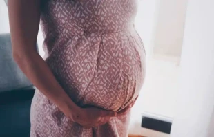 Imagen referencial. Cru00e9dito: Omurden Cengiz (Unsplash) 