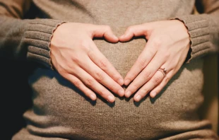 Foto referencial. Cru00e9dito: Pixabay 