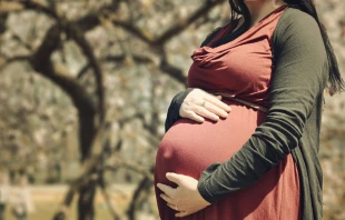 Foto referencial: Pixabay dominio pu00fablico 