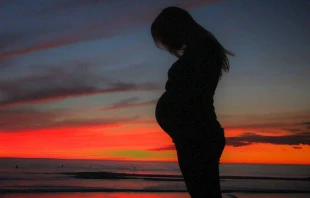 Foto referencial: Pixabay dominio pu00fablico 