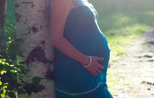 Foto referencial. Cru00e9dito: Pixabay 