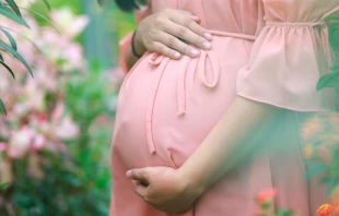 Foto referencial. Cru00e9dito: Pixabay 