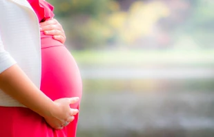 Foto referencial. Cru00e9dito: Pixabay 