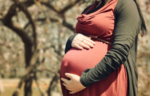 Foto referencial. Cru00e9dito: Pixabay 