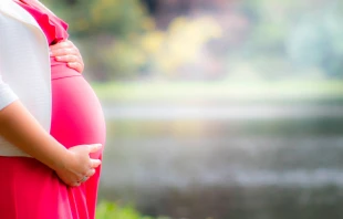 Foto referencial. Cru00e9dito: Pixabay 