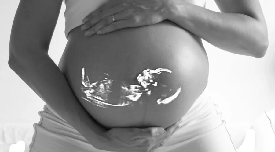 Embarazada / Pixabay (Dominio Público)