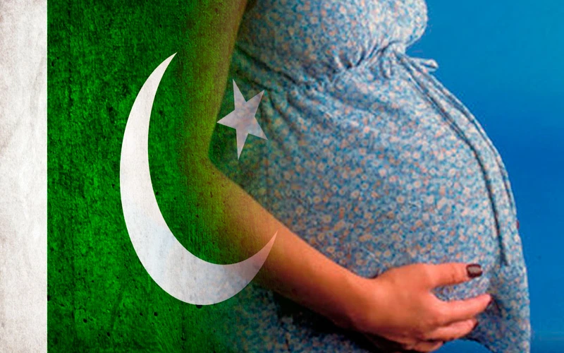 Imagen referencial. Foto: Ken Hammond (USDA) / Dominio Pu00fablico?w=200&h=150