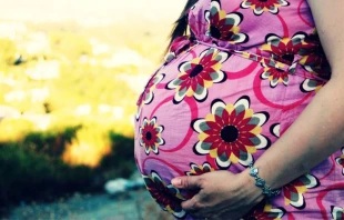 Imagen referencial. Foto: Flickr de Jack Fussell (CC-BY-NC-ND-2.0). 