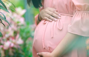 Imagen referencial. Cru00e9dito: Pixabay 