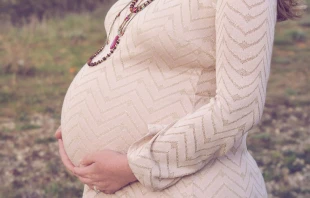 Foto referencial: Pixabay dominio pu00fablico 