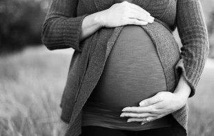 Imagen referencial. Cru00e9dito: Unsplash. 