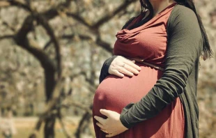 Imagen referencial. Cru00e9dito: Pixabay / Dominio pu00fablico. 