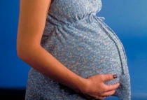 Imagen referencial. Foto: Ken Hammond (USDA) / Dominio Pu00fablico