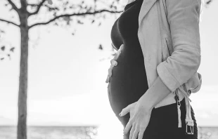 Imagen referencial. Cru00e9ditos: Pixabay 