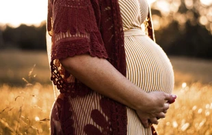 Foto referencial. Cru00e9dito: Unsplash 