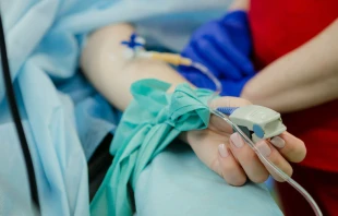 Foto referencial. Cru00e9dito: Unsplash 