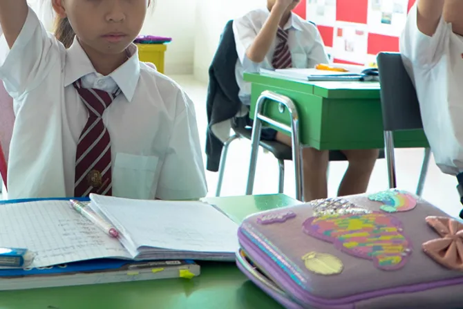 Perú: Denuncian irregularidades en fallo que avala “enfoque de género” en currículo escolar