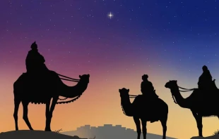 Imagen referencial. Cru00e9dito: Pixabay / Dominio pu00fablico. 