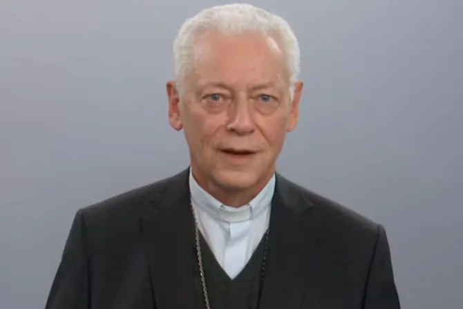 El Papa acepta renuncia de obispo que explica que “las fuerzas ya no son las mismas”