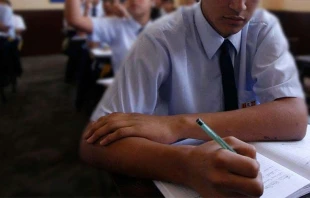 Imagen referencial. Foto: ANDINA. 