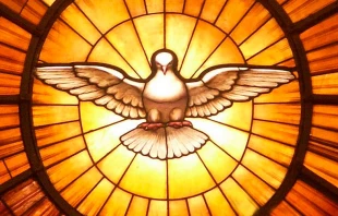 Espiritu Santo - Cru00e9dito: Wikipedia/Autor: Dnalor (CC-BY-SA-3.0-AT) 