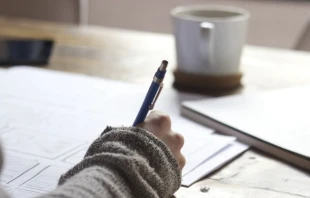 Imagen referencial. Cru00e9dito: Green Chameleon / Unsplash. 