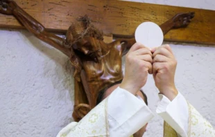 Imagen referencial. Cru00e9dito: Cristian Gutiu00e9rrez, LC / Cathopic. 