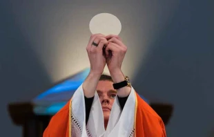 Imagen referencial. Cru00e9dito: Josh Applegate / Unsplash. 