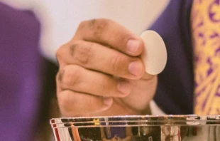 Imagen referencial. Cru00e9dito: Thays Orrico / Unsplash. 