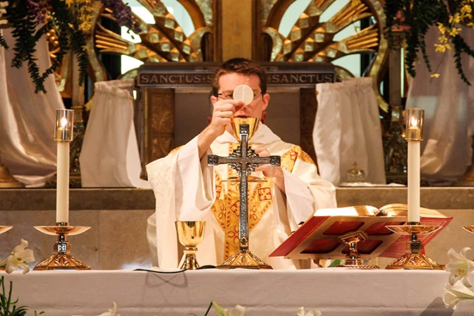 Cardenal Errázuriz: Al comulgar le decimos al Señor que queremos ser como Él