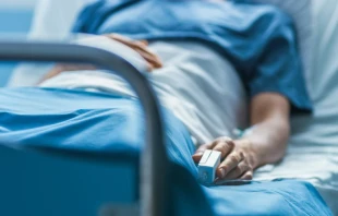 Foto referencial. Cru00e9dito: Shutterstock 