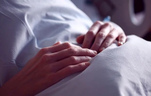 Imagen referencial / Cru00e9dito: Pixabay 