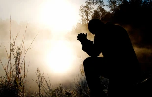 Imagen referencial / Cru00e9dito: Pixabay  