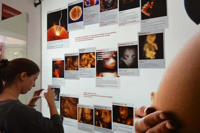 Inauguran Expovida, una muestra sobre la vida humana y el aborto en España