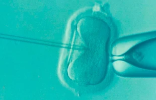 Imagen referencial. Foto: Pixabay / Dominio pu00fablico. 