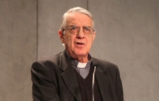 P. Federico Lombardi / Foto: ACI Prensa 