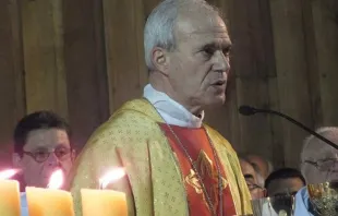 Mons. Felipe Bacarreza / Foto: Facebook de Diócesis de Santa María de Los Ángeles 