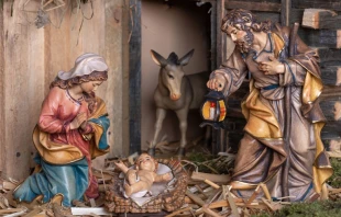 Nacimiento. Cru00e9dito: Shutterstock 