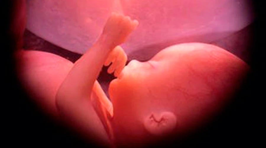 Bebu00e9 de 30 semanas en el vientre materno. Cru00e9dito: Ivon19 / Wikipedia (dominio pu00fablico) (CC-BY-SA-4.0)?w=200&h=150