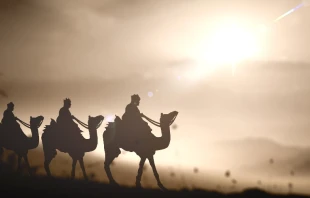 Imagen referencial. Cru00e9dito: Shutterstock 