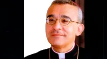 Mons. Filippo Iannone, nuevo Presidente del Pontificio Consejo para los Textos Legislativos. Foto: ocarm.org