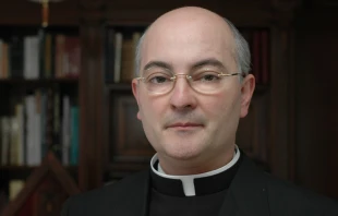 P. Josu00e9 Antonio Fortea. 