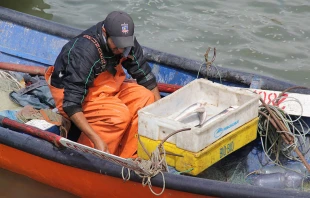 Imagen referencial / Foto: Rolando Cisternas - Pixabay Dominio Pu00fablico 