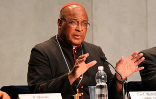 Cardenal Wilfrid Fox Napier. Foto: Bohumil Petrik / ACI Prensa. 