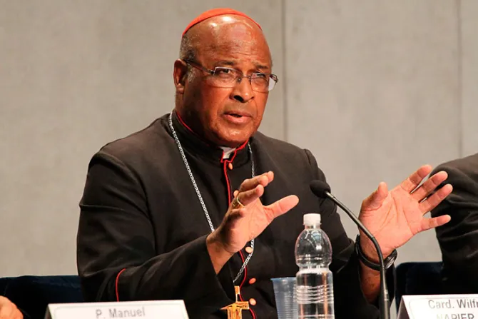 Cardenal Napier: Papa Francisco no necesita que nadie se presente como “su” teólogo